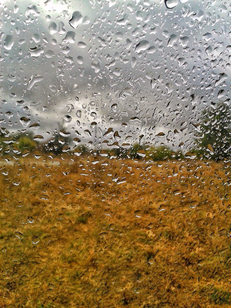 Drops