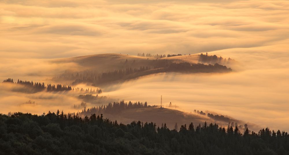 Карпатский рассвет