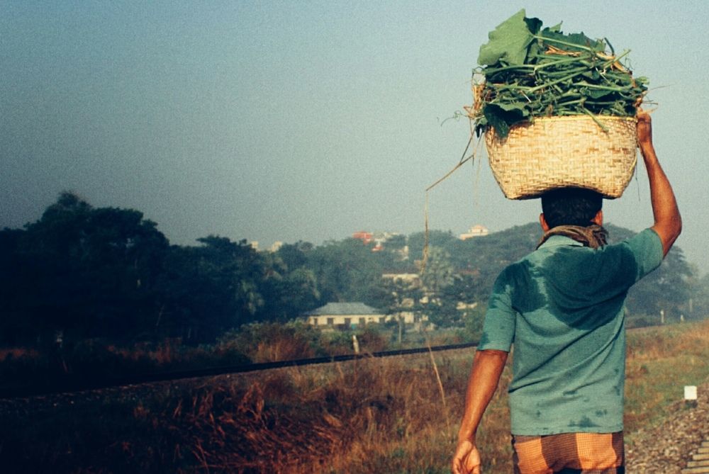 দিনের শুরু