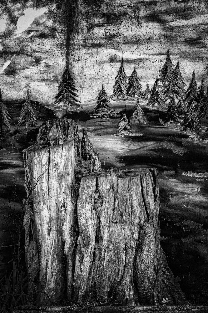 Иллюзия жизни