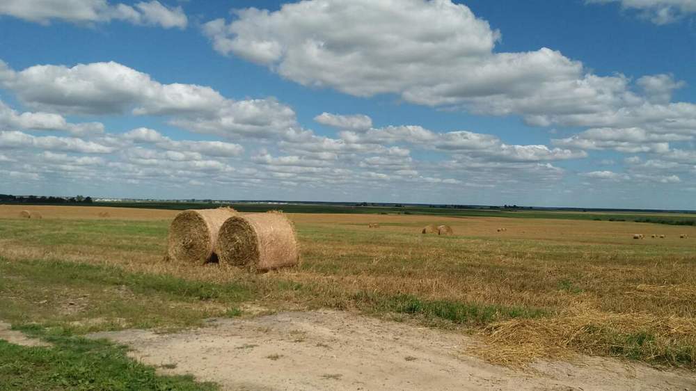 Степные просторы