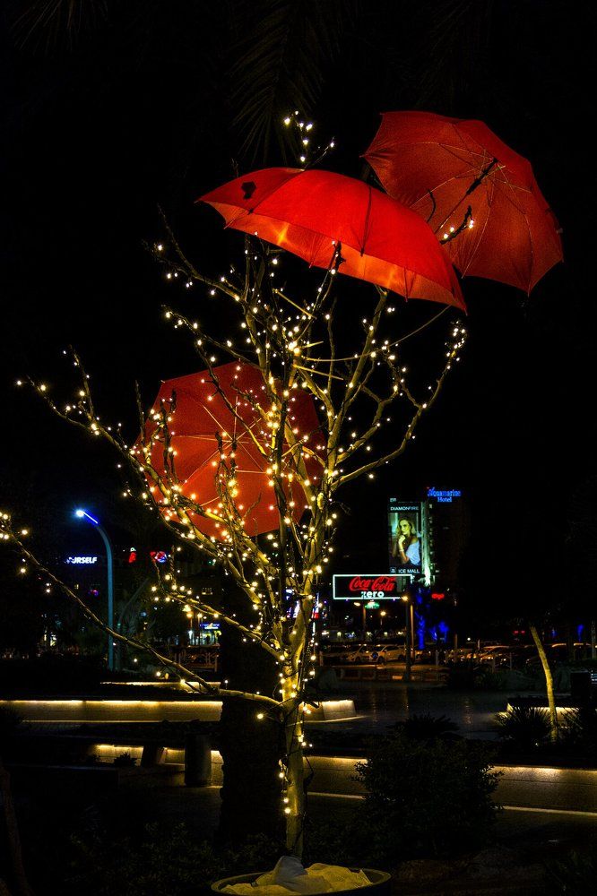 Новогодняя инсталляция