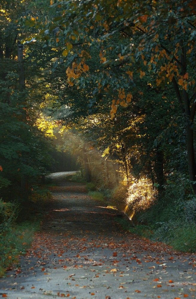 Road to autumn