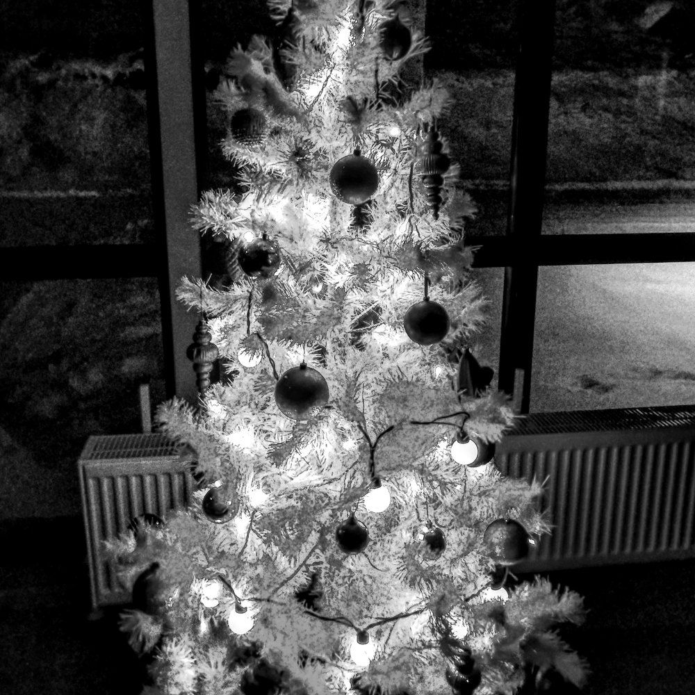 Виновница торжества