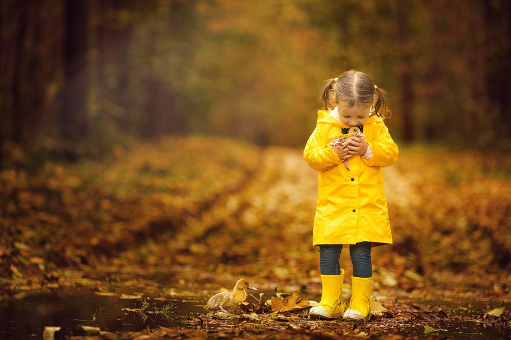 Утята и ребята