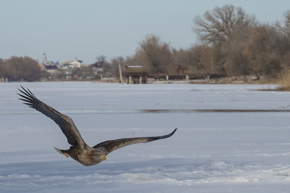 На фоне Астраханского кремля