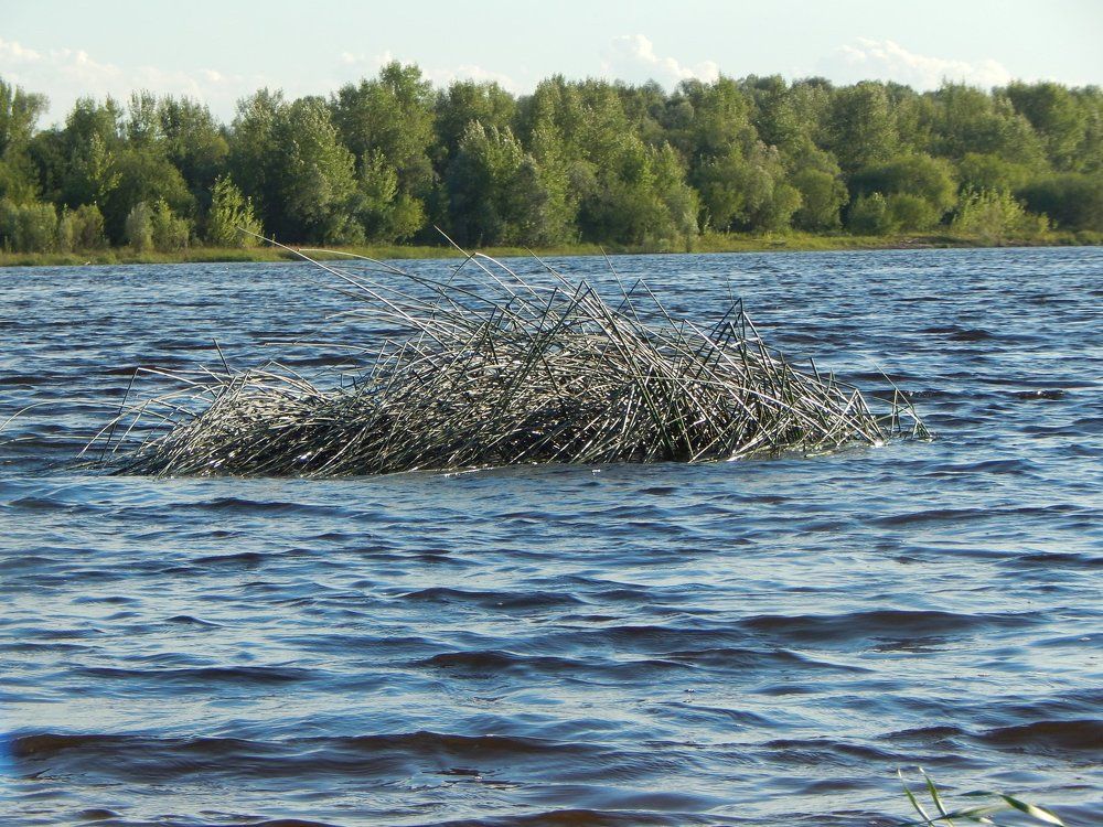 Матушка Волга