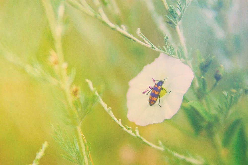 Photograph by Евгения Брайд