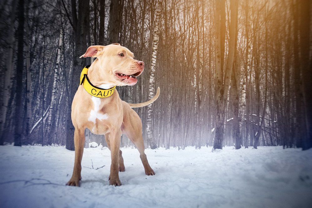 Photograph by Евгения Брайд