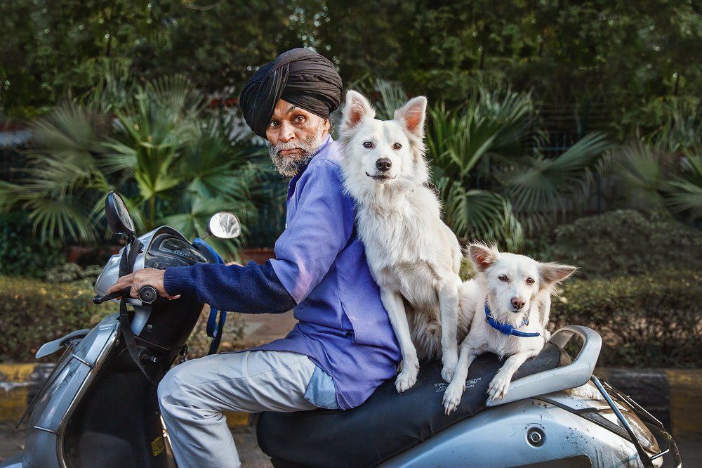 Трое из ларца