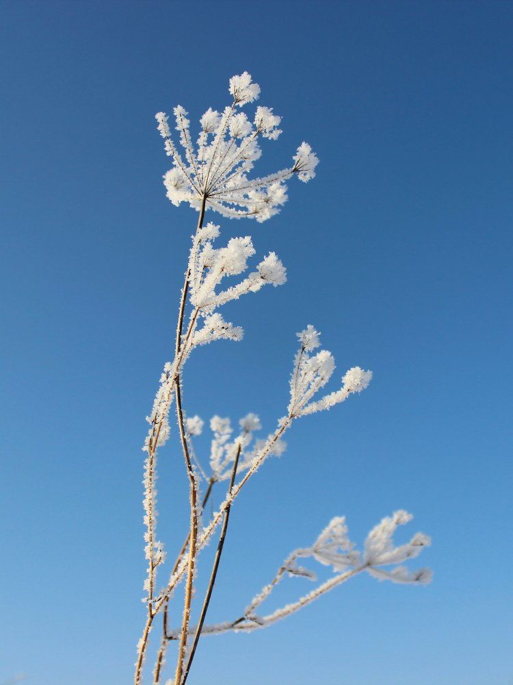 Фотография автора Анастасия Набока