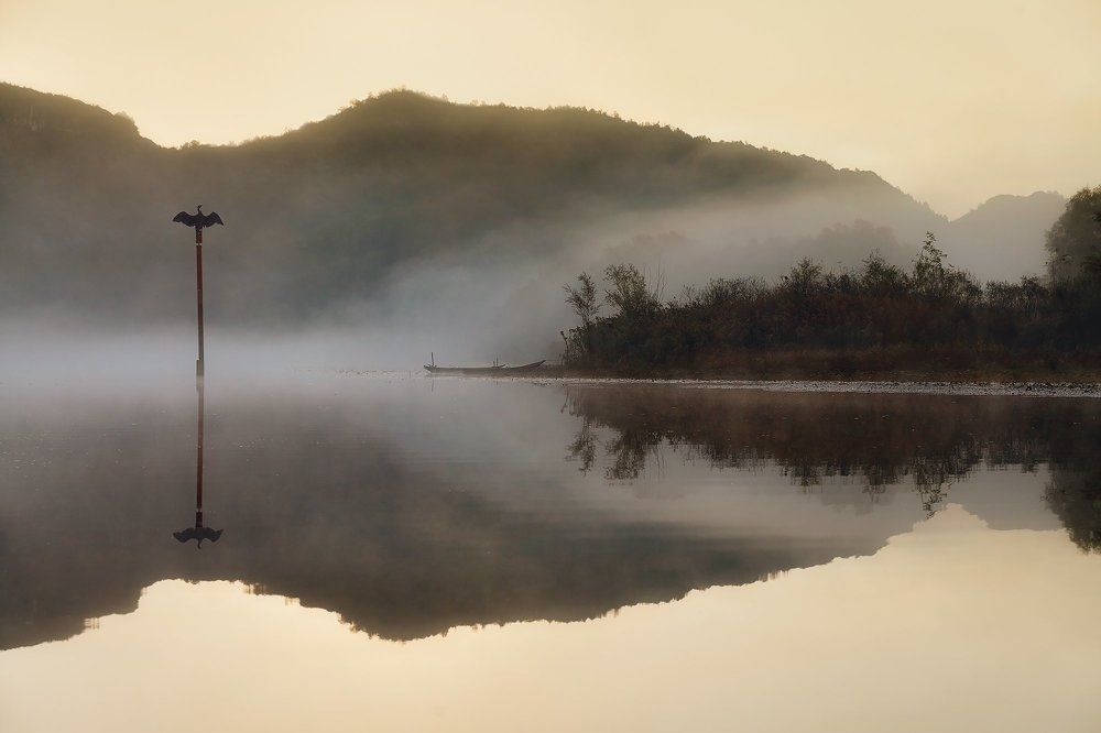Дикий мир Скадарского озера