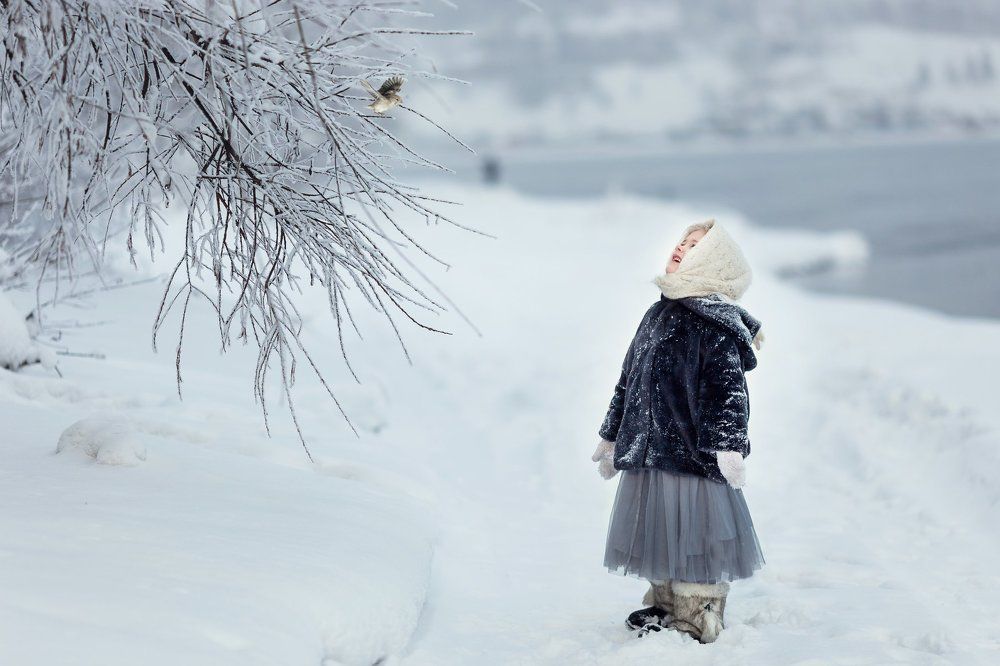 Зимняя сказака