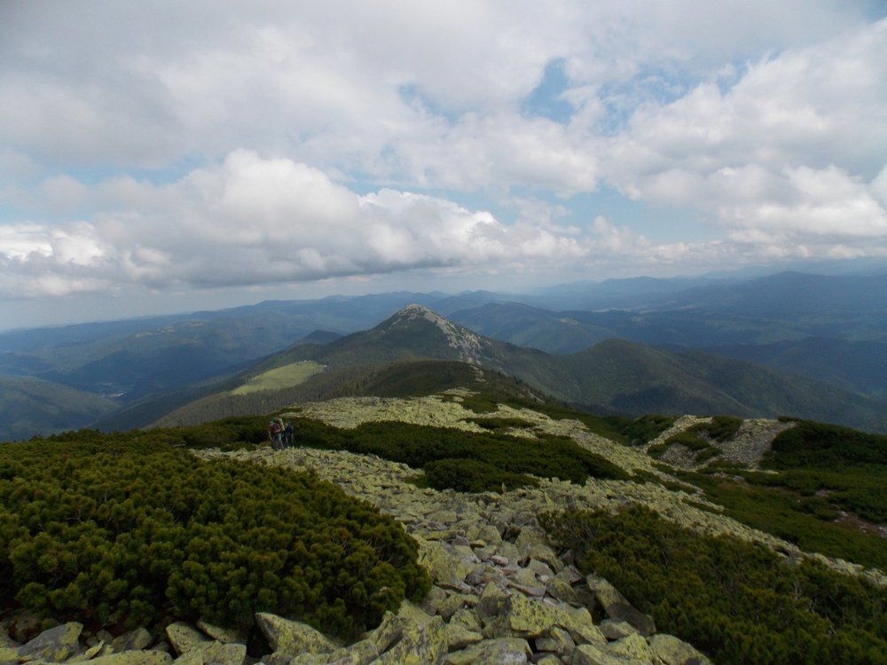 Горгани