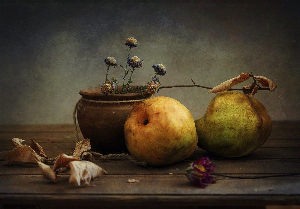 Поздняя осень