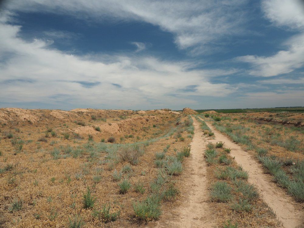 Астраханская полупустыня
