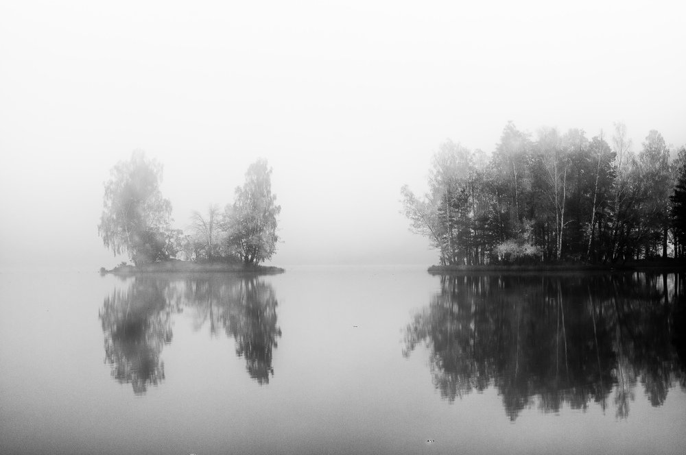 Piles of little arms