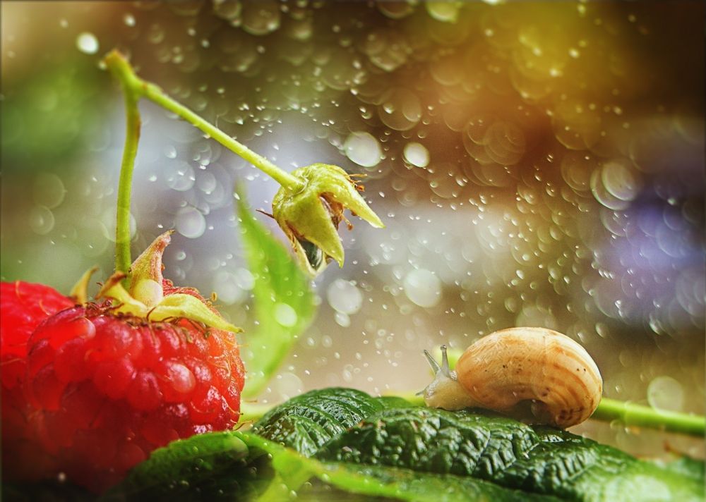 Photograph by Милородова Наталья