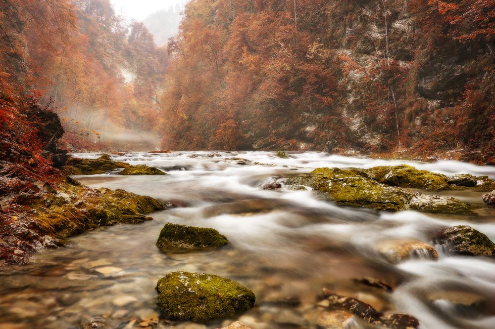 Осенние Краски Ущелья Винтгар