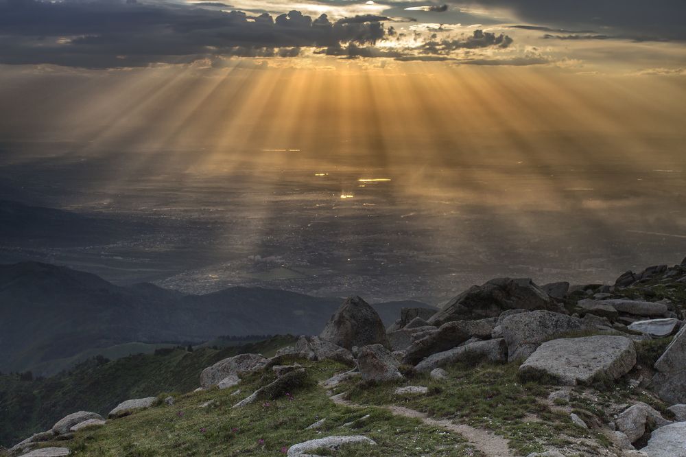 После дождя