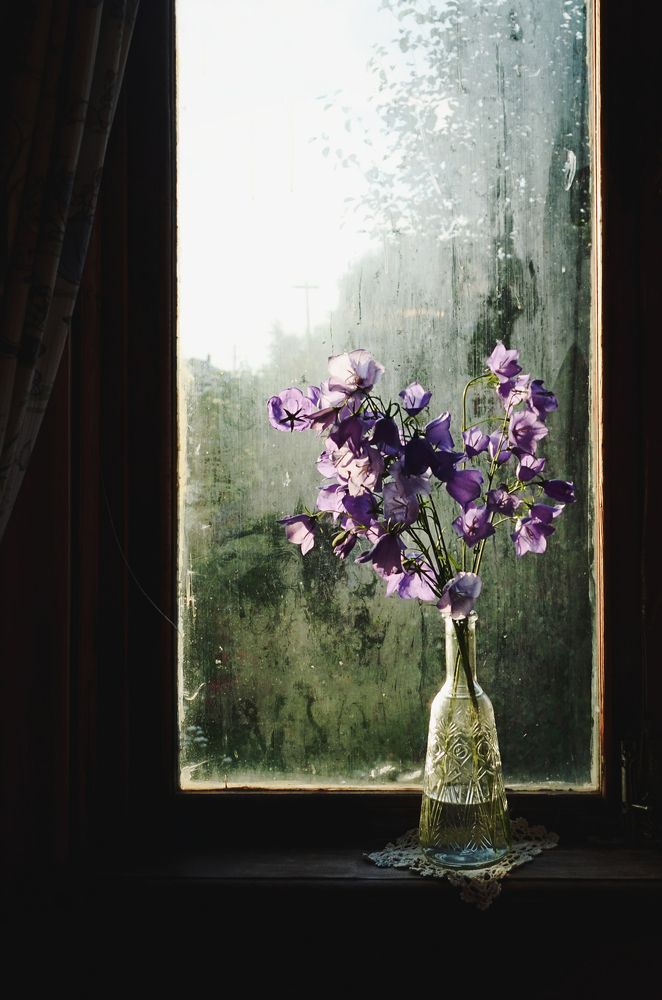 Photograph by Anna Saltykowa