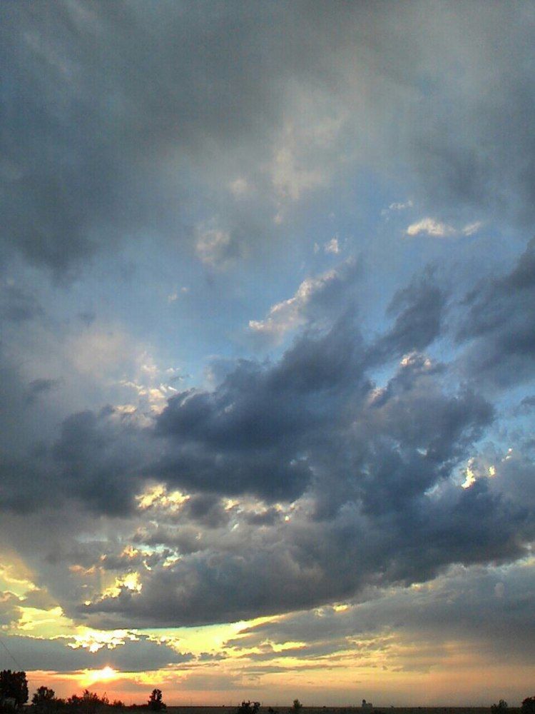 Июльский вечер... Золотой закат...