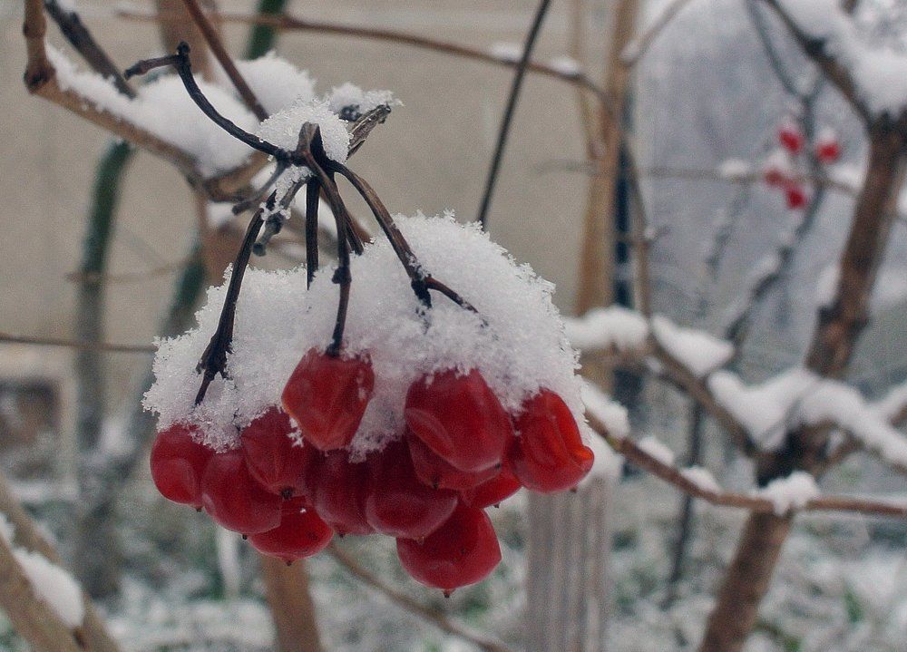 Photograph by Кравчук_Діана