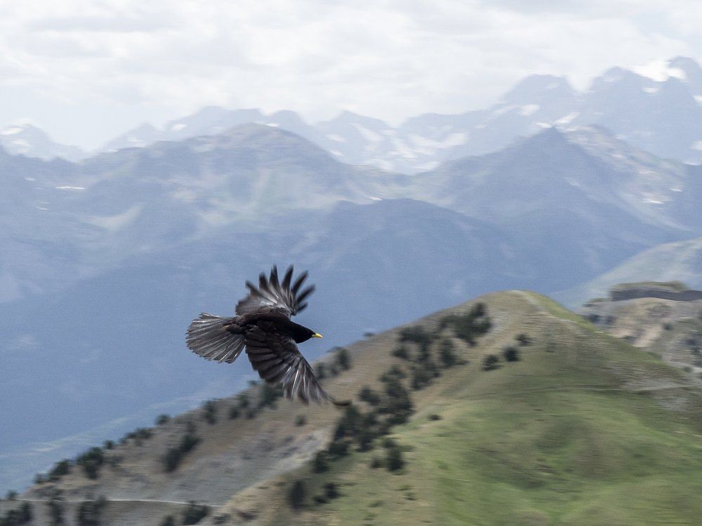 Французские Альпы