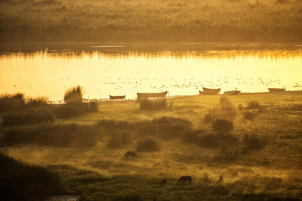 Photograph by Olari Ionut