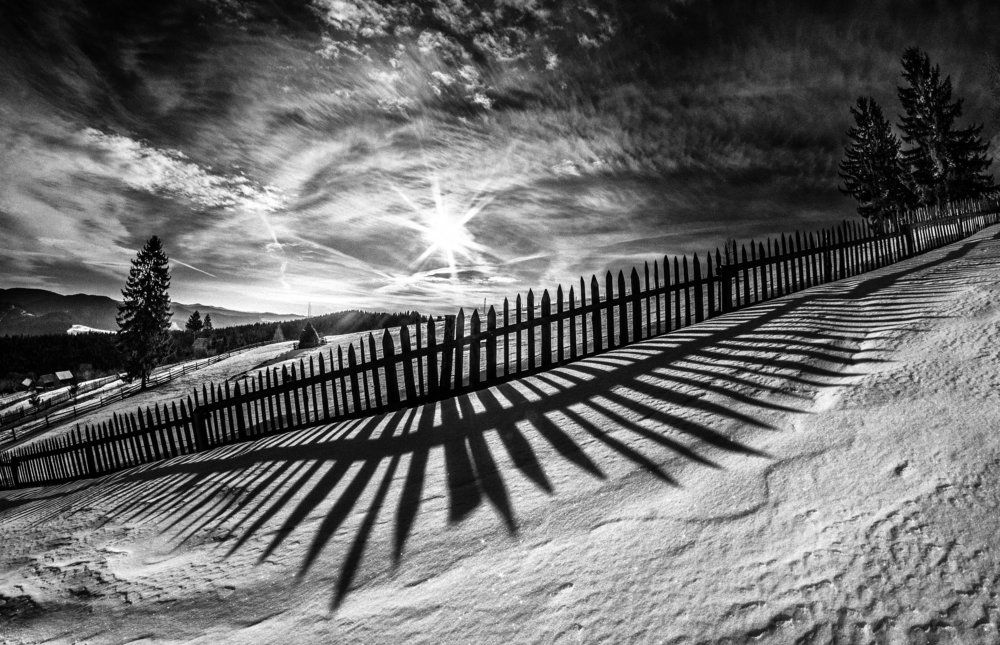 Photograph by Olari Ionut