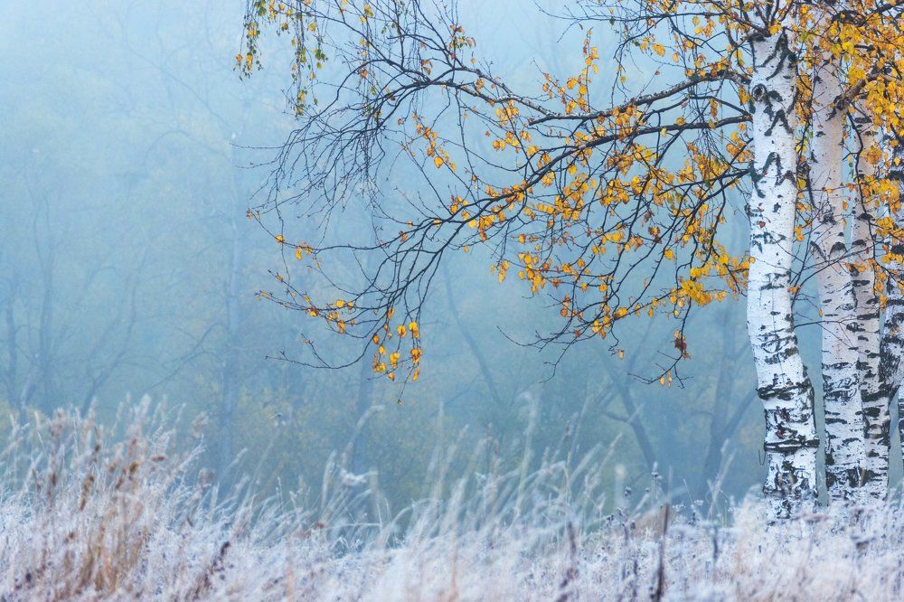 Photograph by Olari Ionut