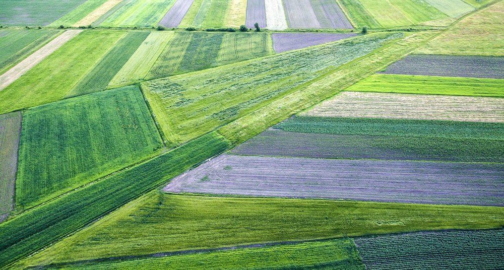 Photograph by Olari Ionut