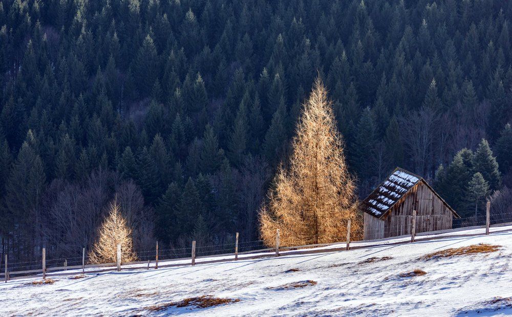 Photograph by Olari Ionut