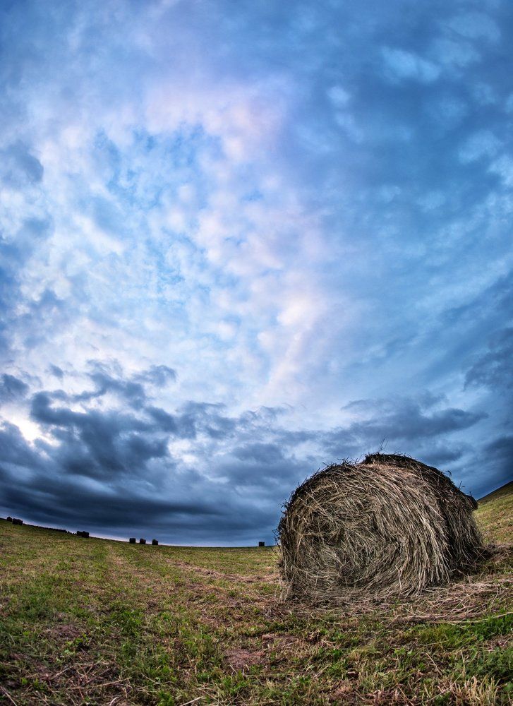 Photograph by Olari Ionut
