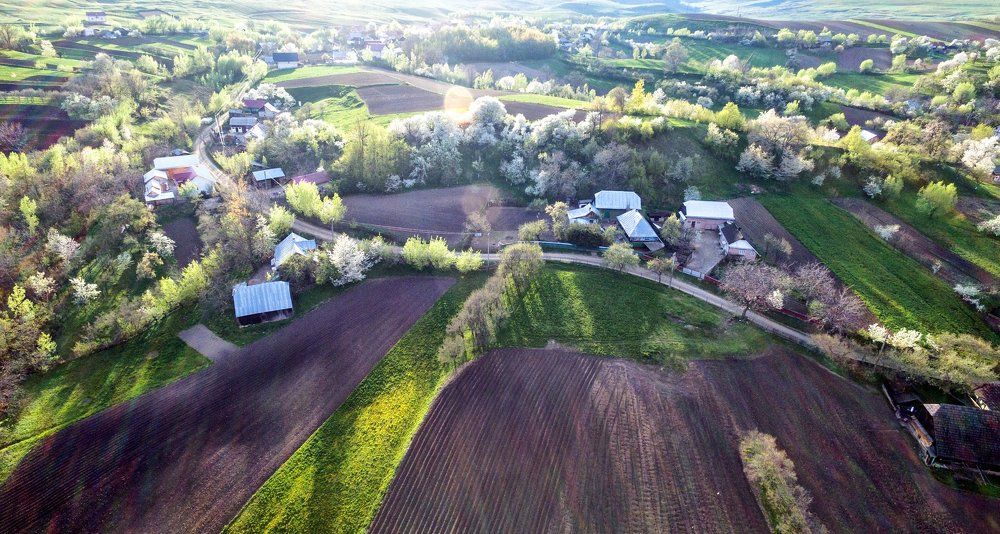 Photograph by Olari Ionut