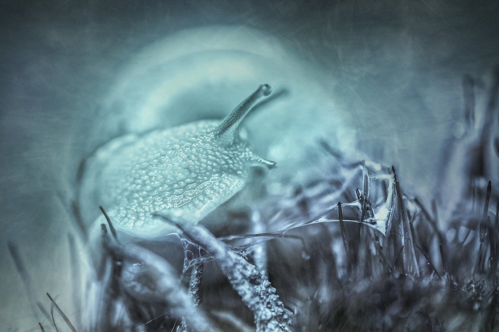 утилита "зима"