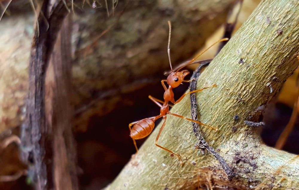 The joy of little things