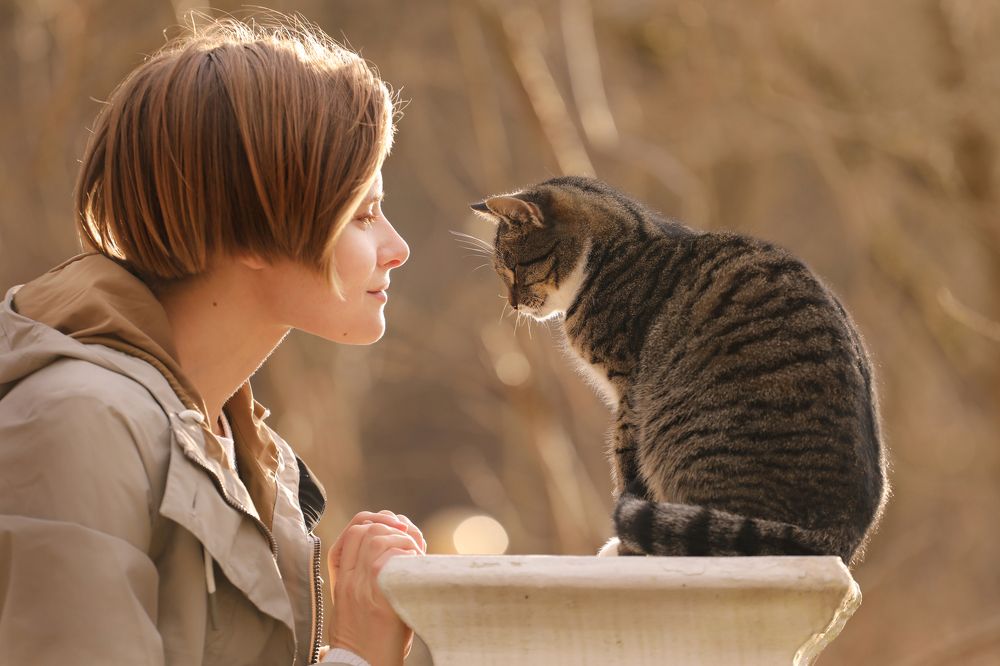 котовселенная