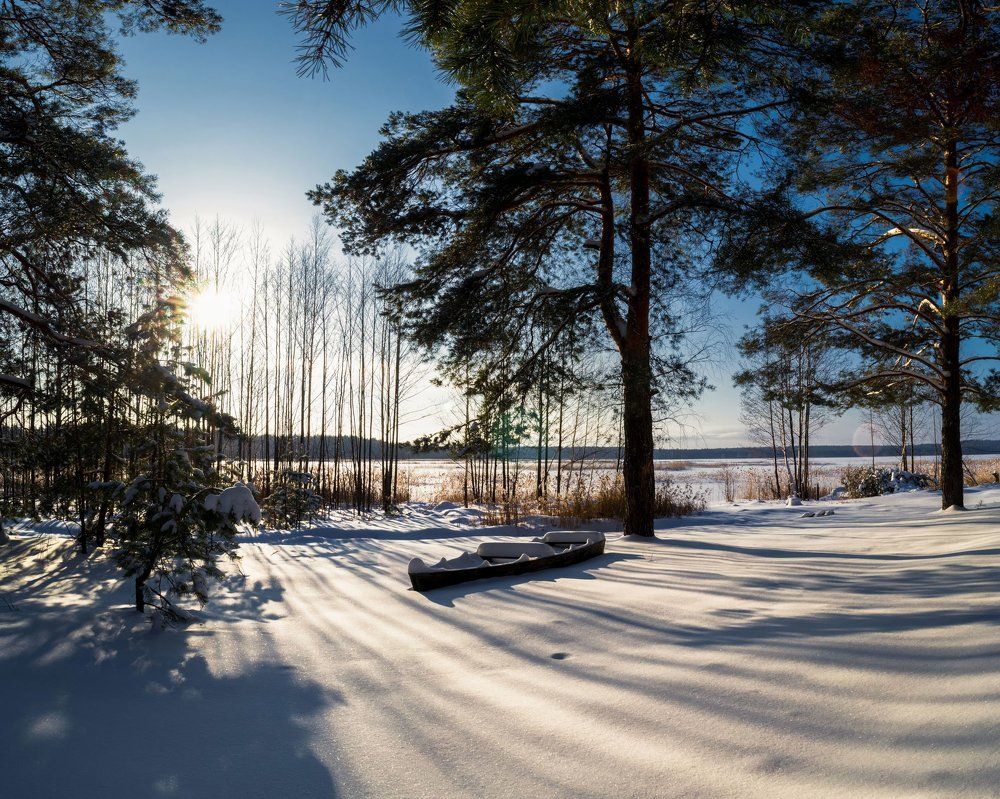 На зимнем пруду