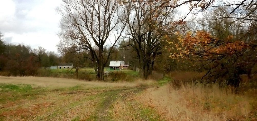 осенний мотив