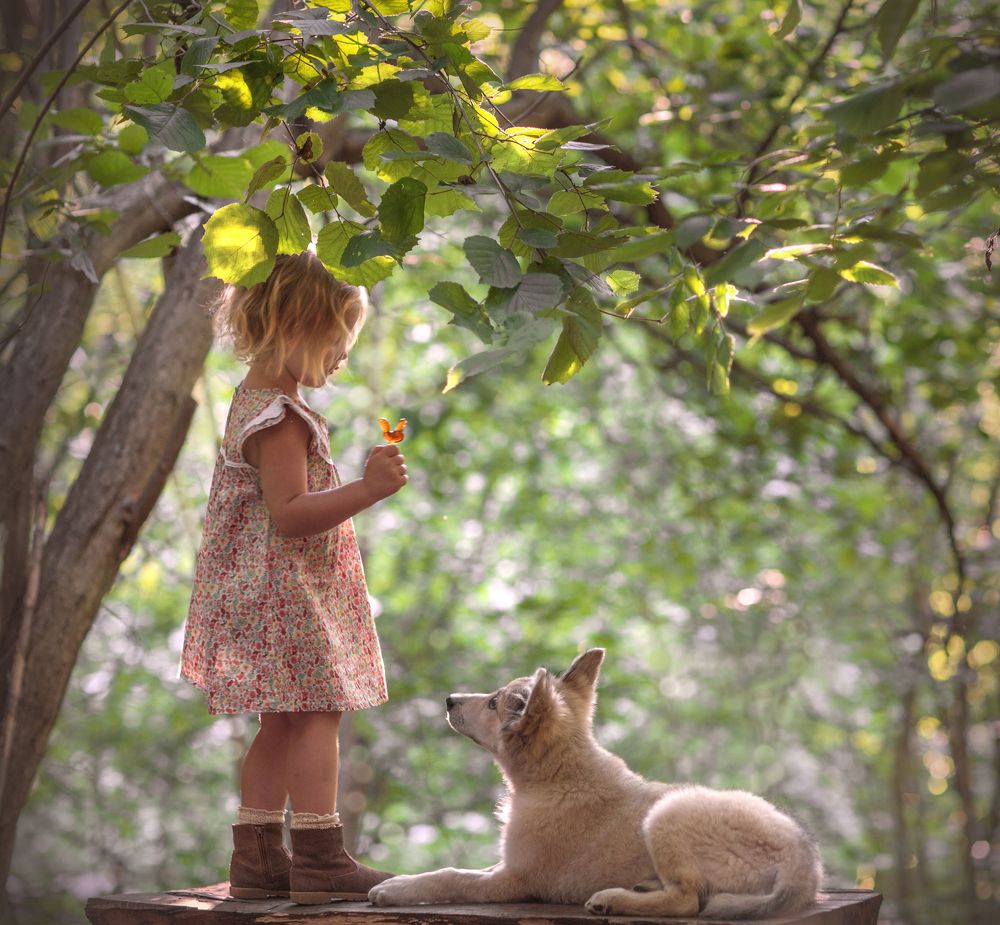 Photograph by Рыбникова Ольга Александровна