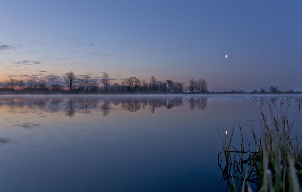 Тишина утра.