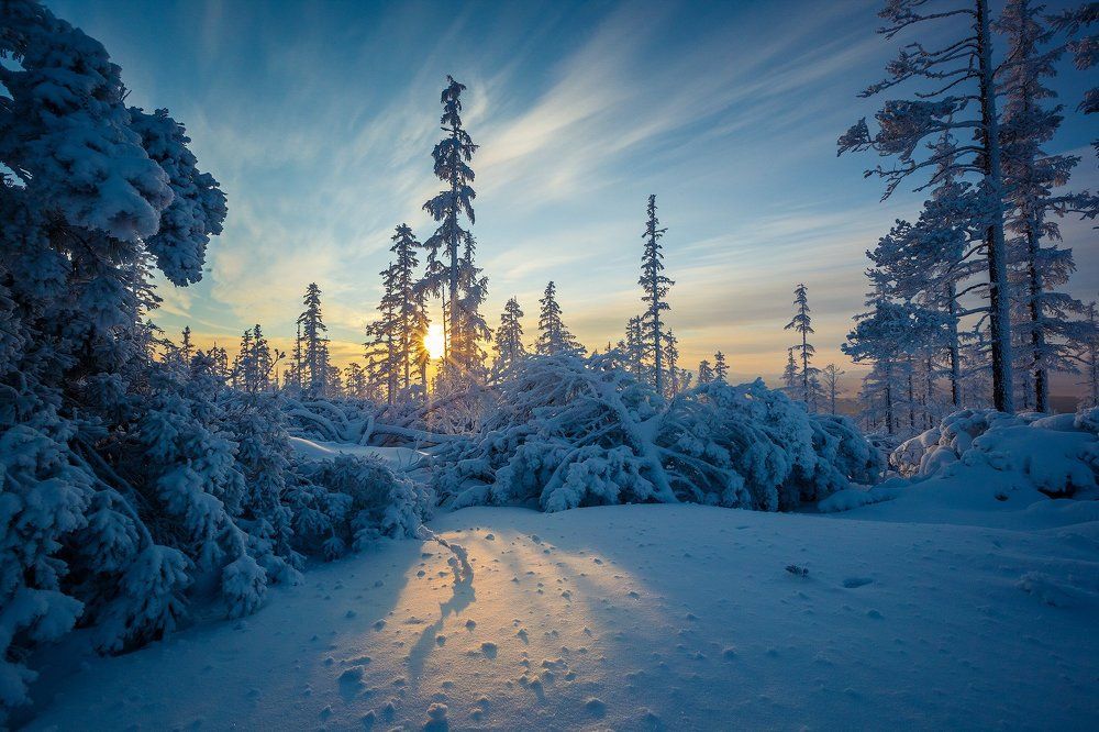 Согревающий закат