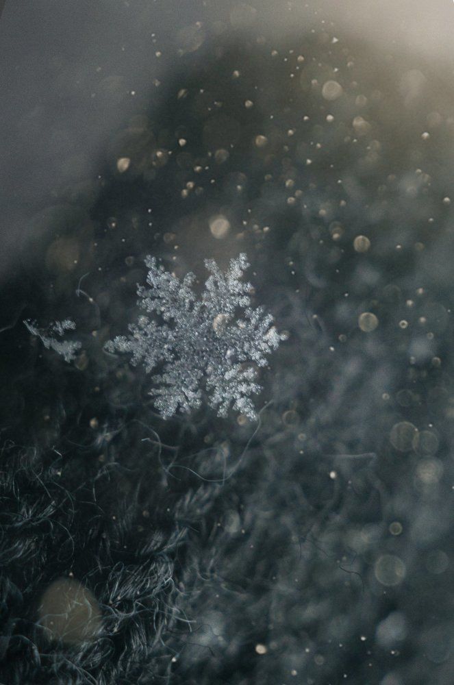 Кристальная звезда