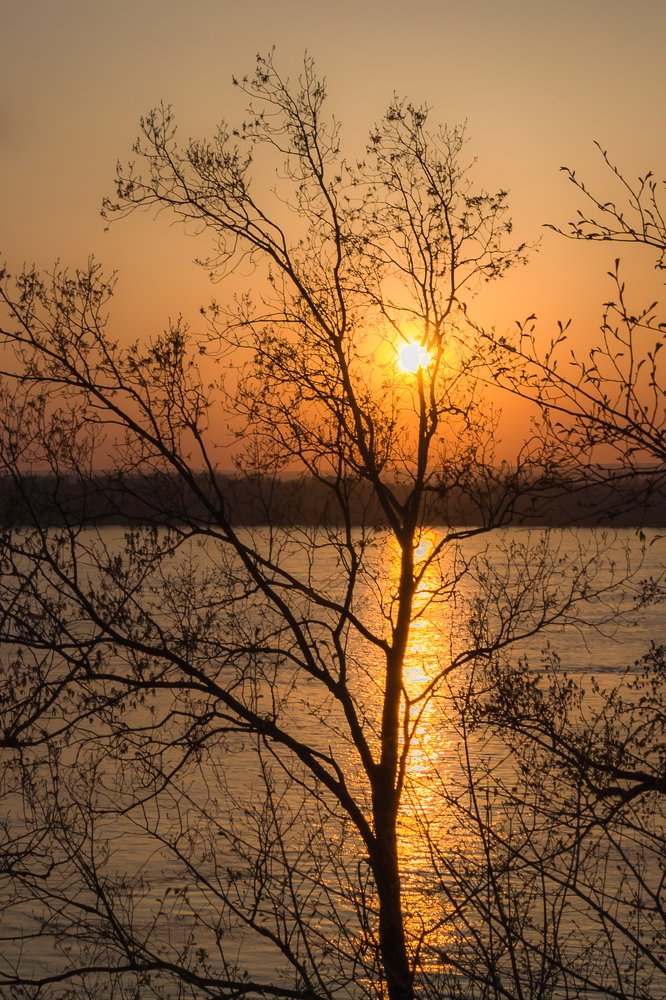 Фотография автора Андрей Бармашов