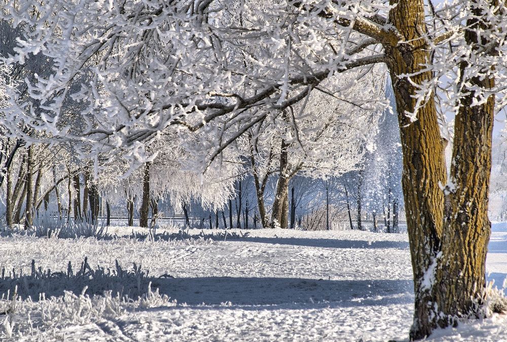Зимняя сказка