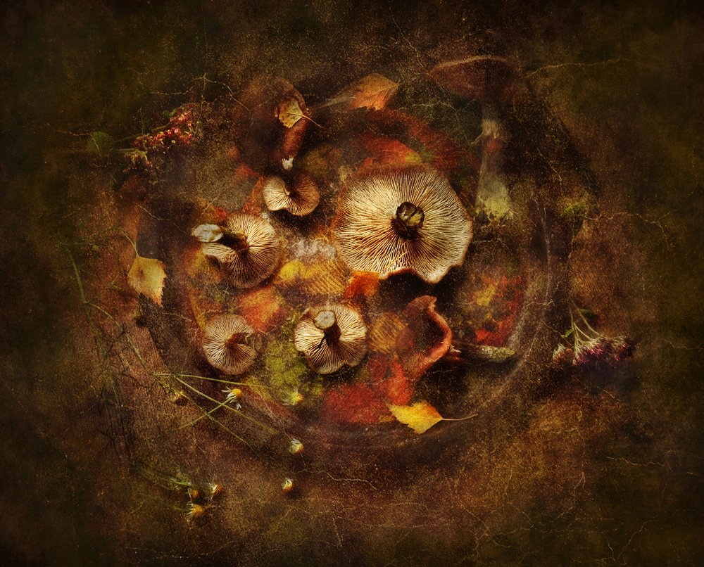 Осенний бал