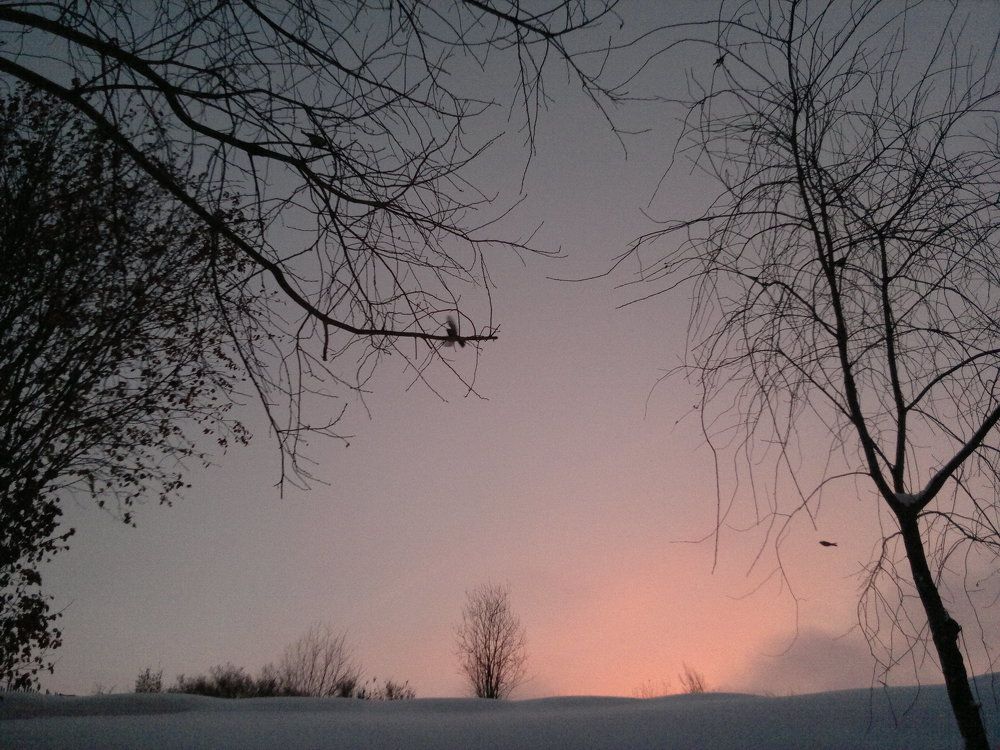 Зимнее утро / Winter morning