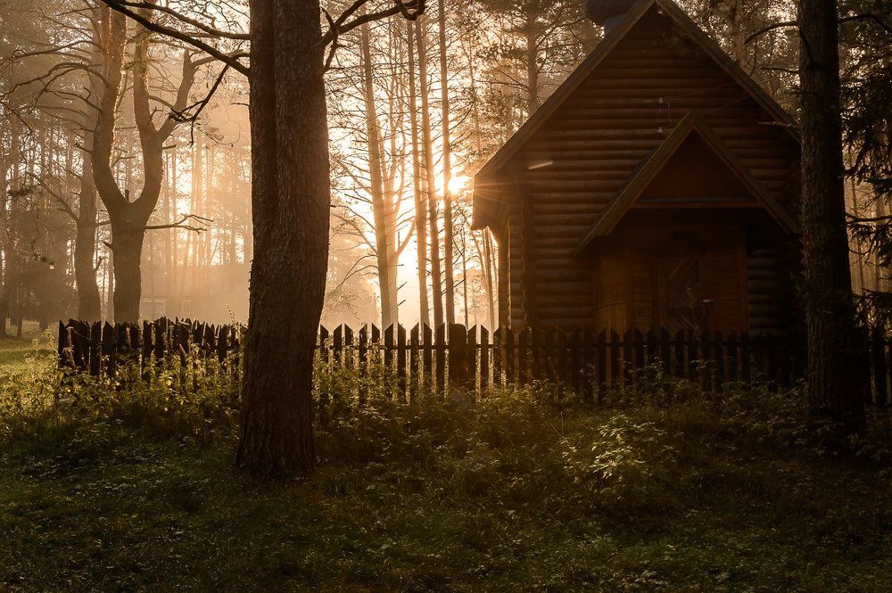 "Божественный свет"