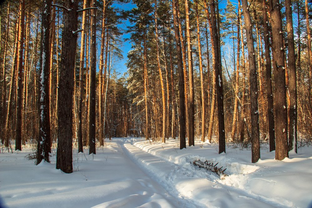 Зимний солнечный денек!